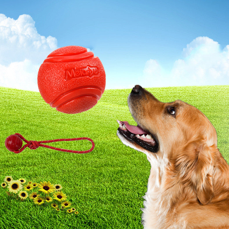 Unzerstörbarer Hunde Kauball