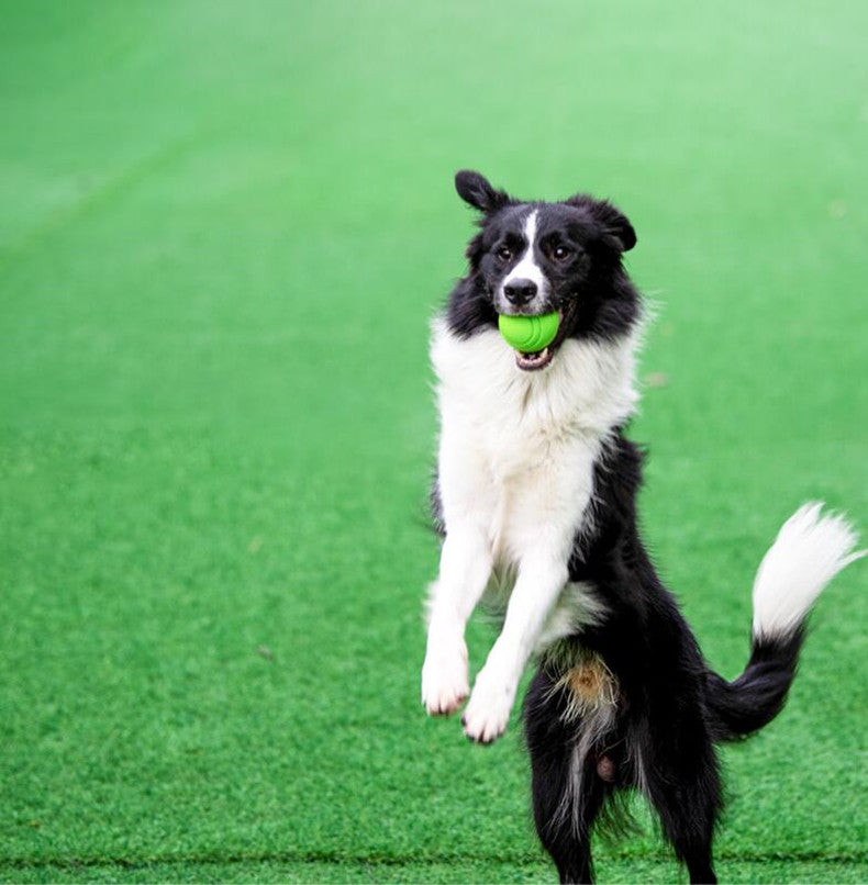 Unzerstörbarer Hunde Kauball