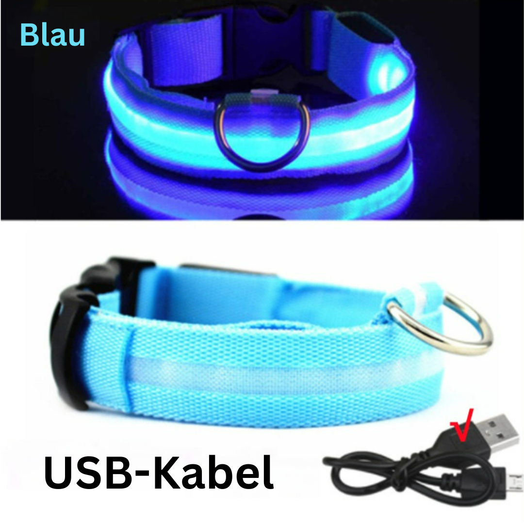 LED Hundehalsband