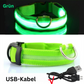LED Hundehalsband
