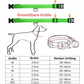 LED Hundehalsband