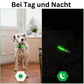 LED Hundehalsband