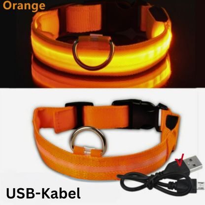 LED Hundehalsband