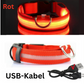 LED Hundehalsband