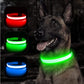 LED Hundehalsband