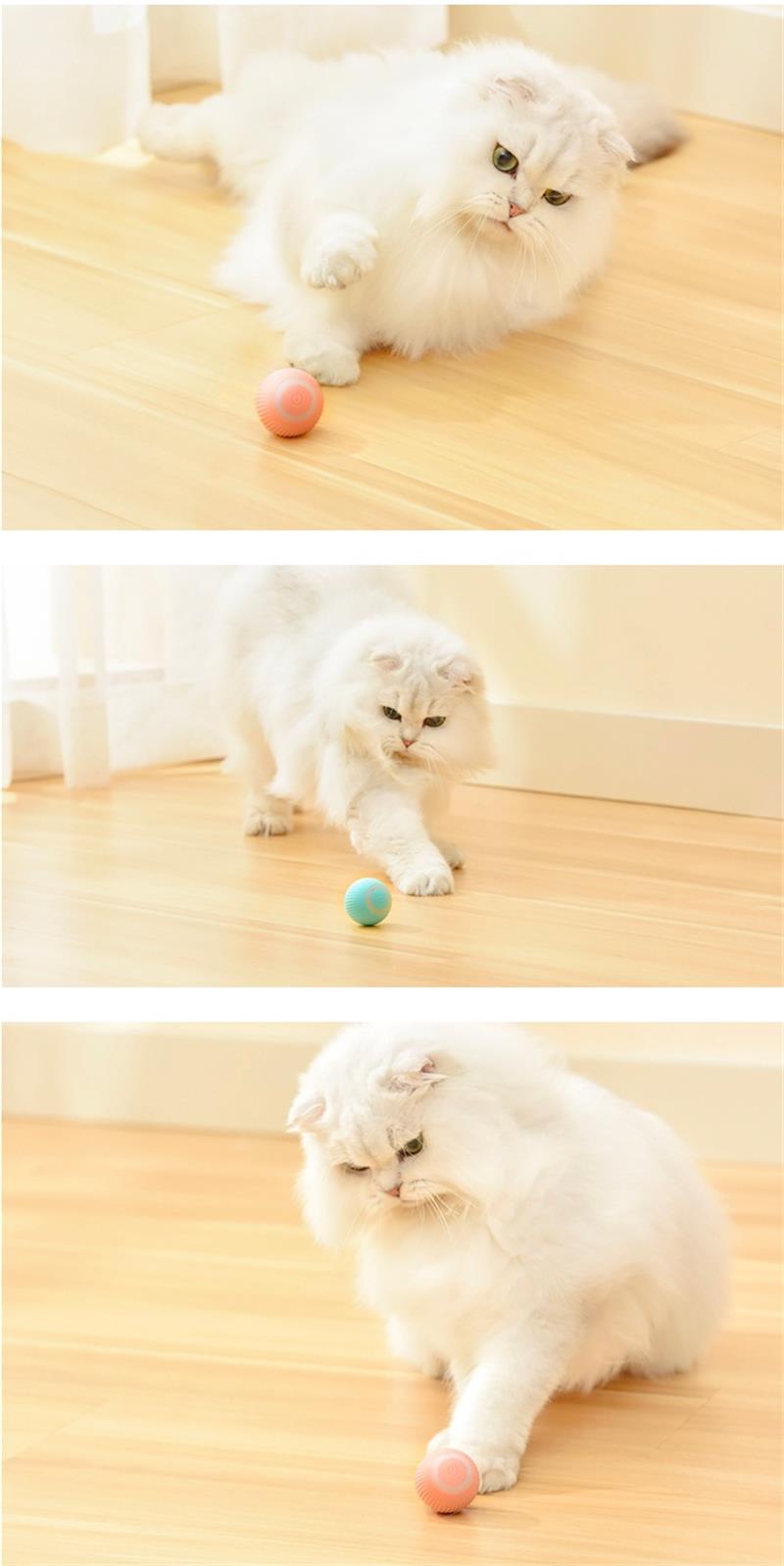 Smart Ball Katzenspielzeug