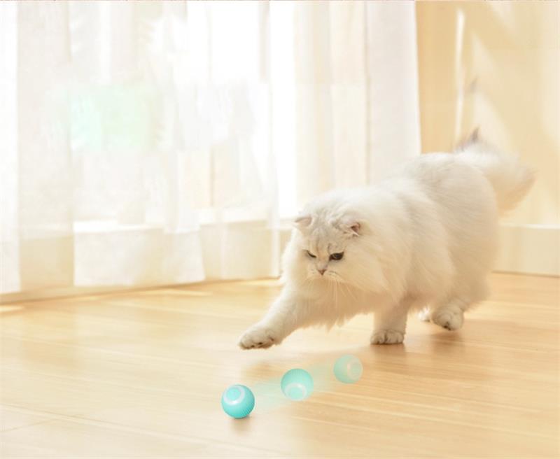 Smart Ball Katzenspielzeug