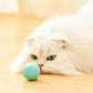 Smart Ball Katzenspielzeug